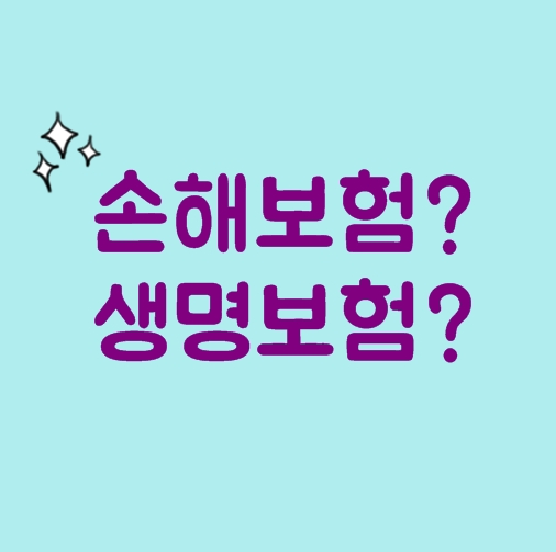  손해보험사 vs 생명보험사 도대체 무슨 차이야!!