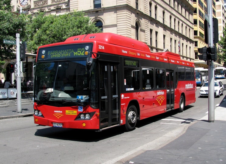 호주 여행/워홀 준비 - 대중교통(3) : 버스(Bus)