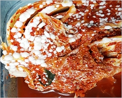  효모곰팡이(효모균)로 인한 골마지(film yeast)가 생긴 김치를 먹어도 될까?