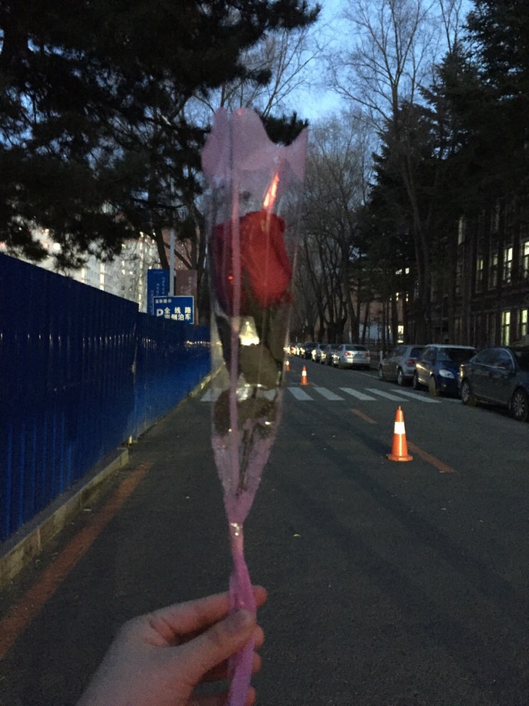 [D+88 동북사범대 일상] 장춘 남방항공 한국가는 유학생 표 사기,추수 감사절 (感恩节),코코 感恩节