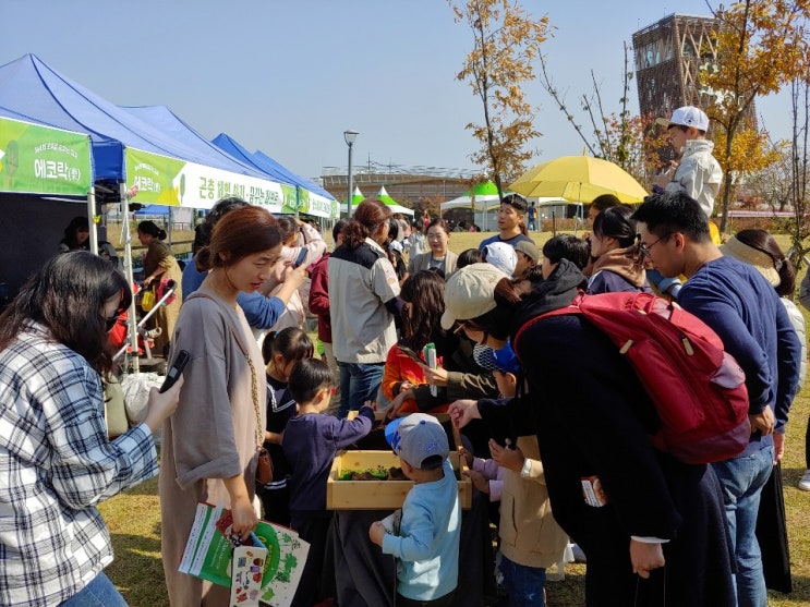 제4회 김포에코센터 에코락축제 곤충체험 진행