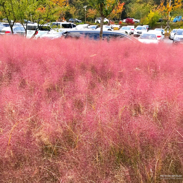 181028  대구 옥연지 송해공원