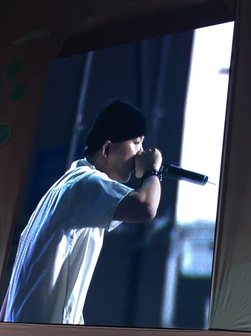 #나플라 & 루피 공연후기(in 청춘랜드) #덕후의 꿈이 이뤄지는 순간ㅠㅜ #역시 라이브는 쇼미 ....