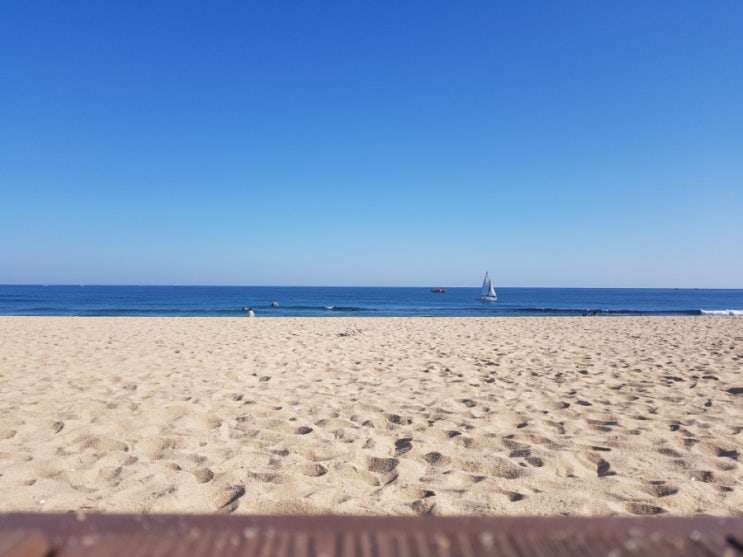  안목해변 강릉커피거리 다녀온 후기(주변 주차장 이용팁)