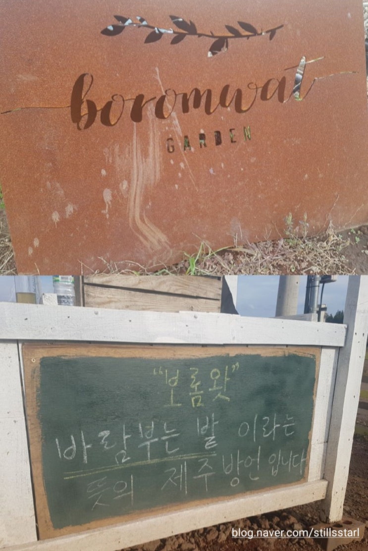  [제주여행]2일차_가을제주 만끽하기