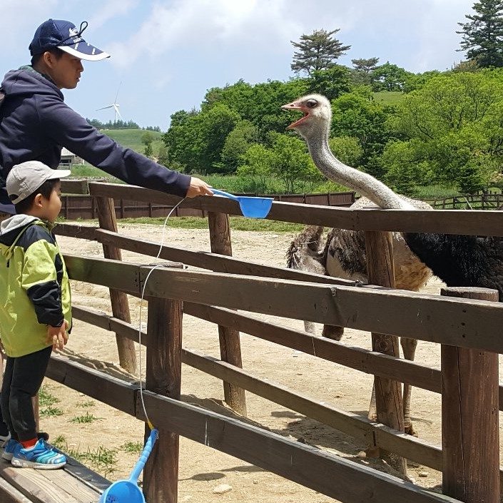  부모를 듣다 8_함께하고 싶다면 권한위임도 확실하게!_신성현님
