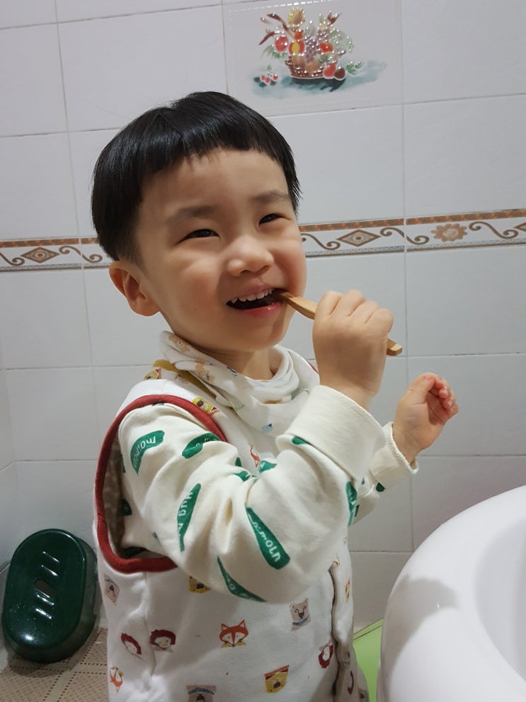  친환경 칫솔이라는 험블 브러쉬 사용 후기