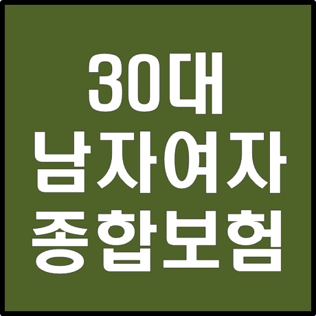 30대 남자여자 종합보험 최신정보!