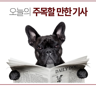  시설 한부모 가정  ‘돌보미’  61억 예산 전액 삭감한 비정한 자유한국당 송언석의원