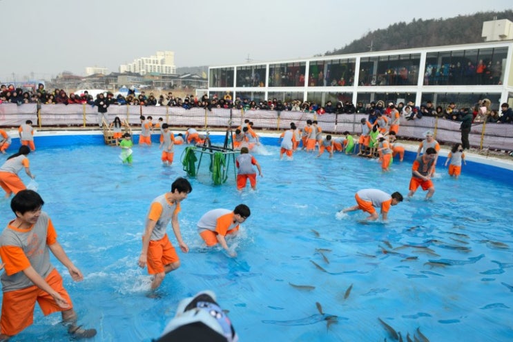  강원도 축제 12월, 1월 겨울나라! 평창송어축제, 화천산천어축제, 홍천강꽁꽁축제, 인제빙어축제, 태백산 눈축제, 원주고니골빛축제, 대관령눈꽃축제, 양양도루묵축제~