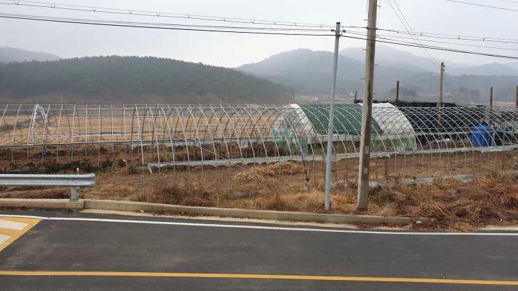  백령도 (전) 1,240㎡ 토지매매 7,500만원 【바다가 보이는 땅】