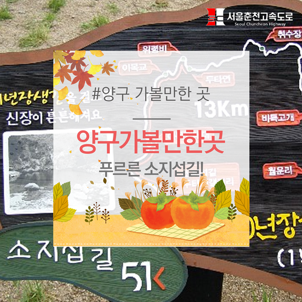  양구가볼만한곳 : 푸르른 소지섭 길!