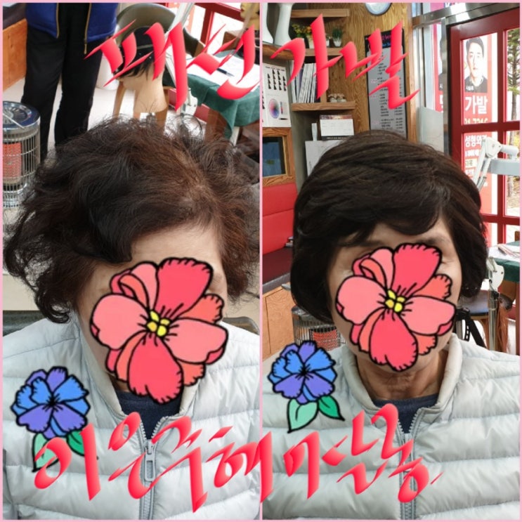  춘천가발 김호증모 패션가발 전체가발로 맞이 한 청춘스케치~