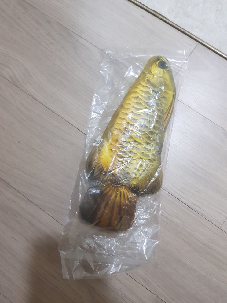  반지 주문 했는데 생선이 옴.