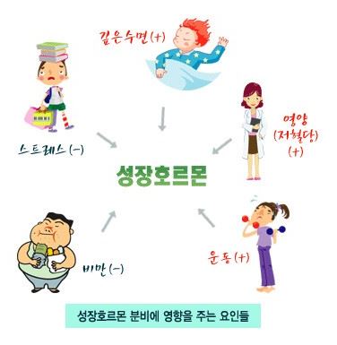  서울개일초등학교 남학생 초6 신 00군, 키네스에서 1년 동안 10.8cm 컸어요!