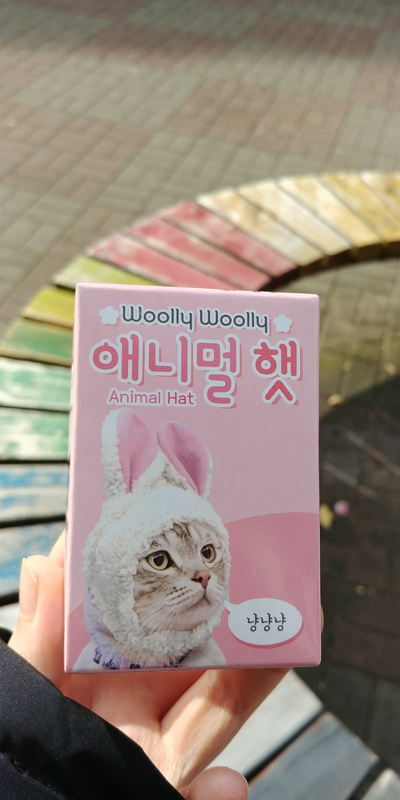 애니멀햇 랜덤 동물모자 뽑기 3천 원! 애니멀햇 랜덤 동물모자 뽑기 3천 원!