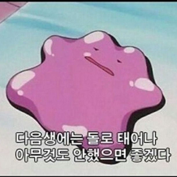  1인분 몫