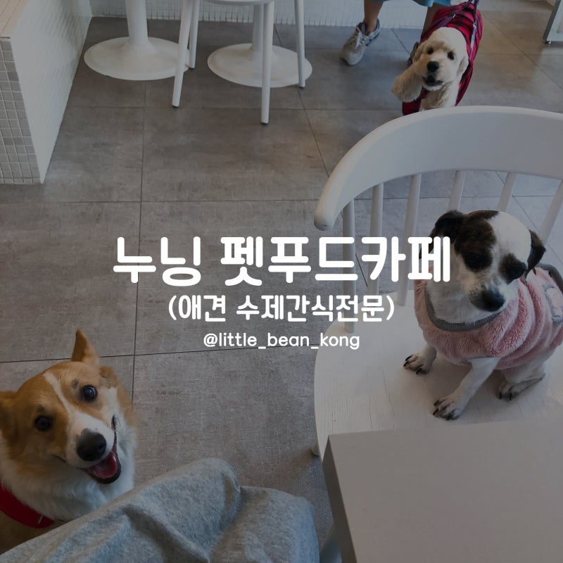 누닝 펫푸드카페