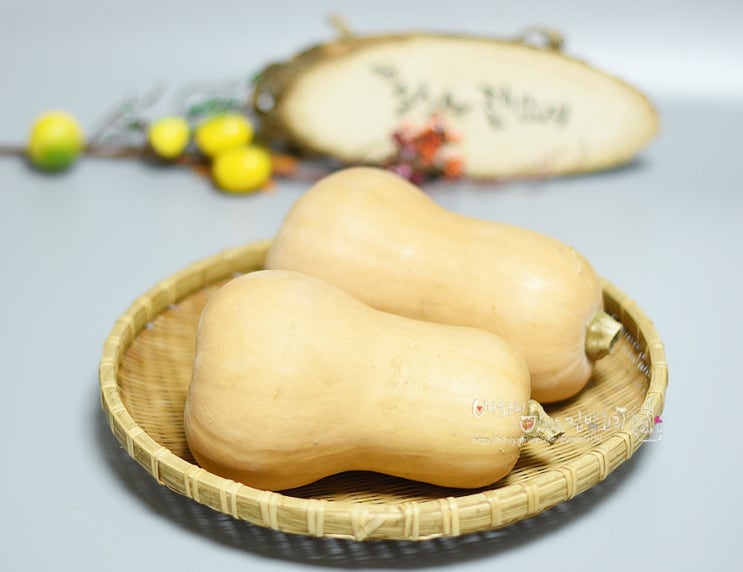  땅콩호박 먹는법 히카마 요리 땅콩 호박 견과류조림 양빈무침