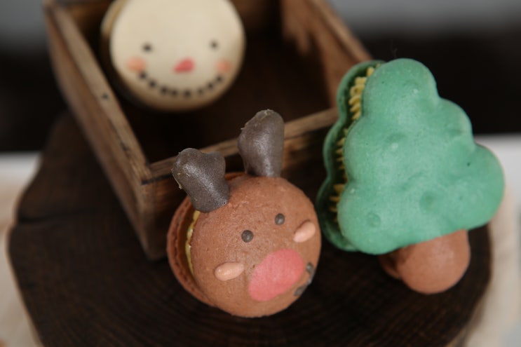  [블링키친] 예쁜사진찍기/음식사진/디저트사진/푸드스타일링/취미/블로그사진/사진 배우기/사진잘찍는법/음식사진잘찍기/자기계발/마카롱사진찍기 사진공방 다섯번째 수업