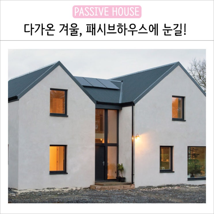 단독주택, 패시브하우스(passive house) 장단점