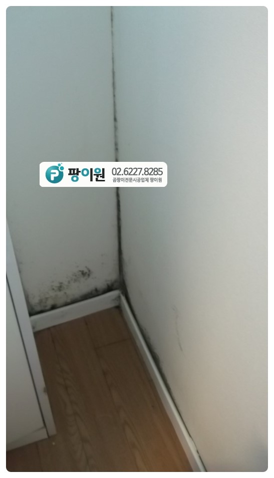  모서리 벽곰팡이제거 대충 하면?