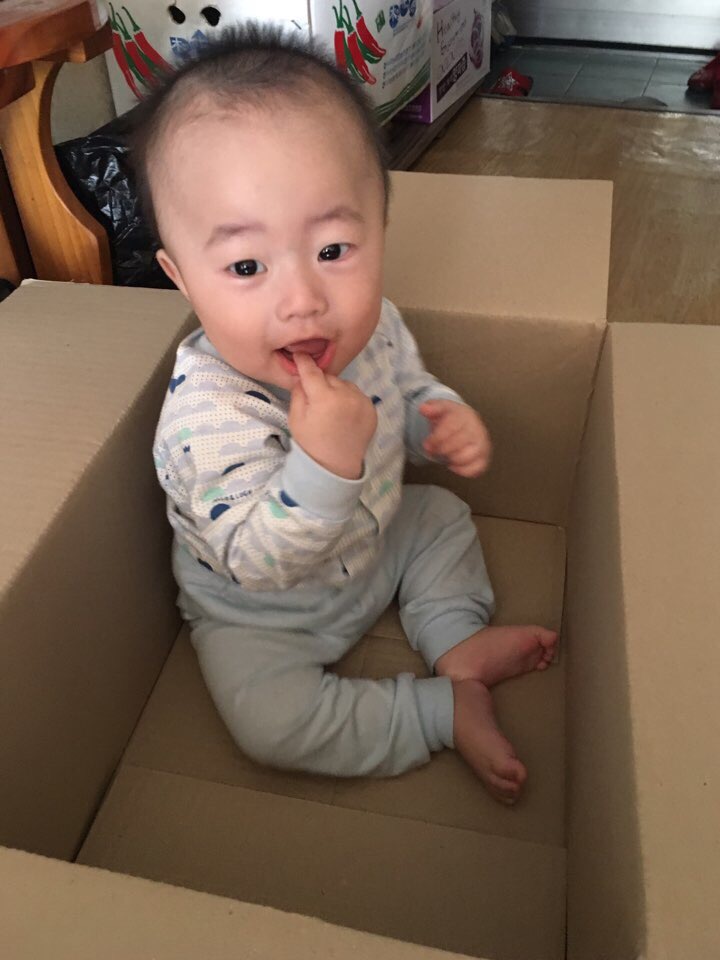  나무아빠의 육아일기(15)