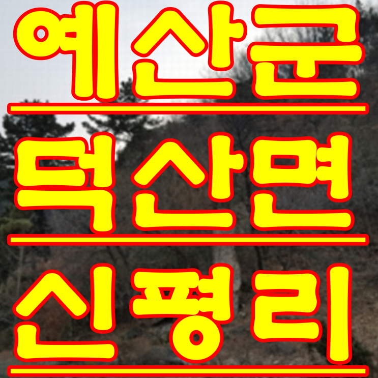  충남 예산 토지 경매 예산군 덕산면 신평리 법원 경매 물건 2018 타경 667