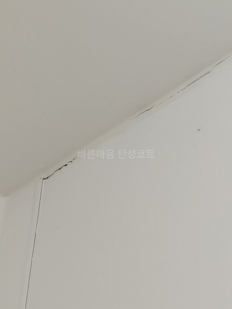 ( 동탄 탄성코트 ) 동탄 2신도시 시범예미지 구축아파트 탄성코트 시공후기