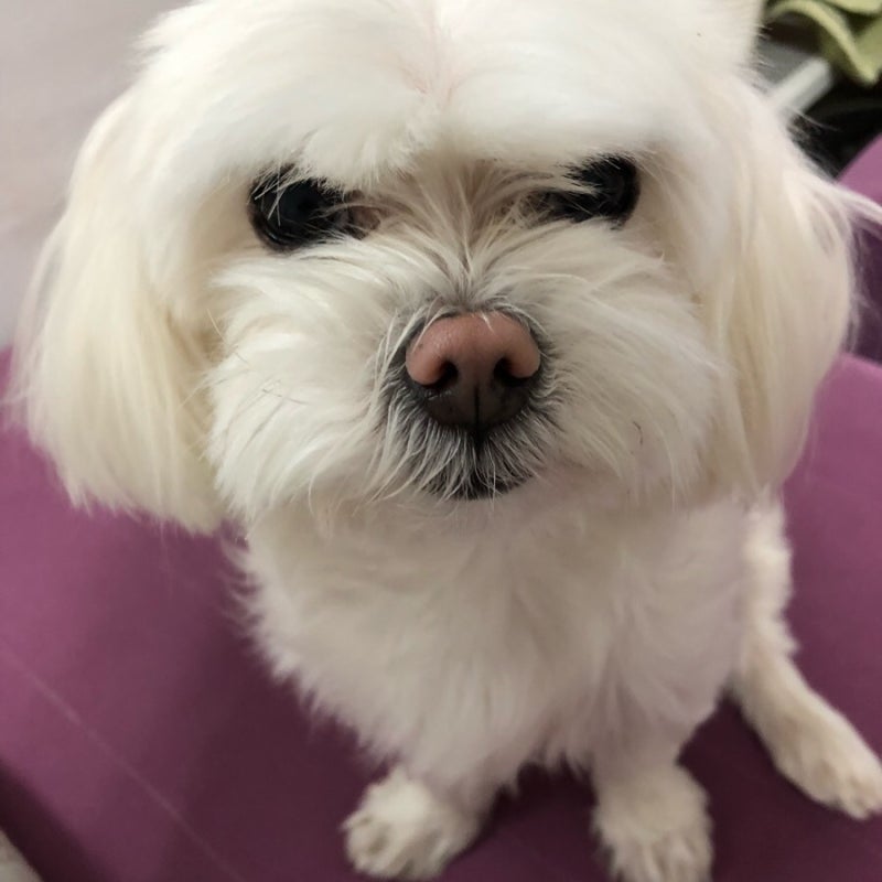 사진 2