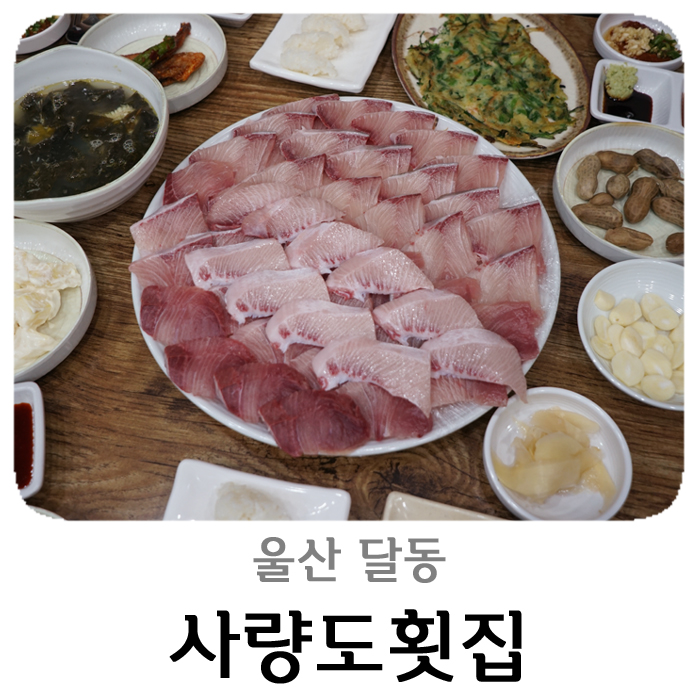  울산 방어회 사량도횟집 나도 먹고 왔다 