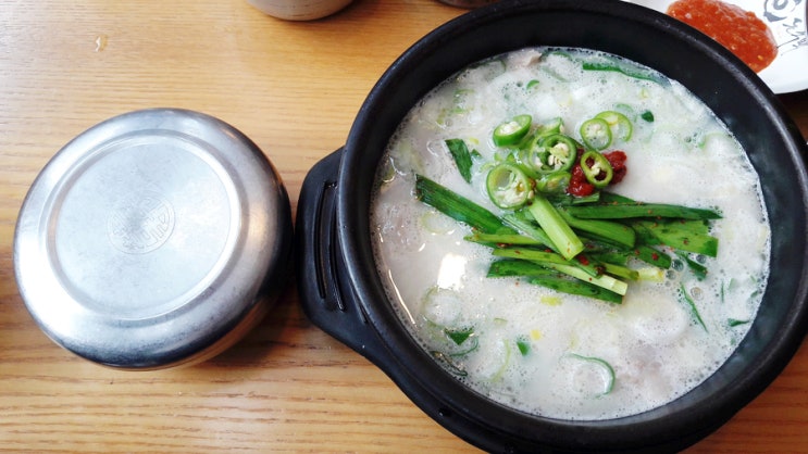오늘의 런치 <돈수백 돼지국밥> 오늘의 런치 <돈수백 돼지국밥>