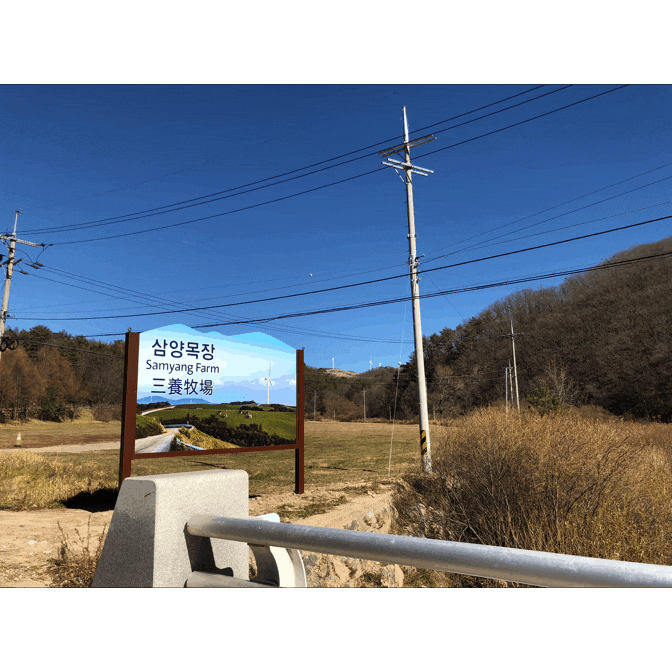 2018 대관령여행  / 양떼목장 삼양목장 입장료, 지도, 우유, 라면 / 근처맛집 황태회관