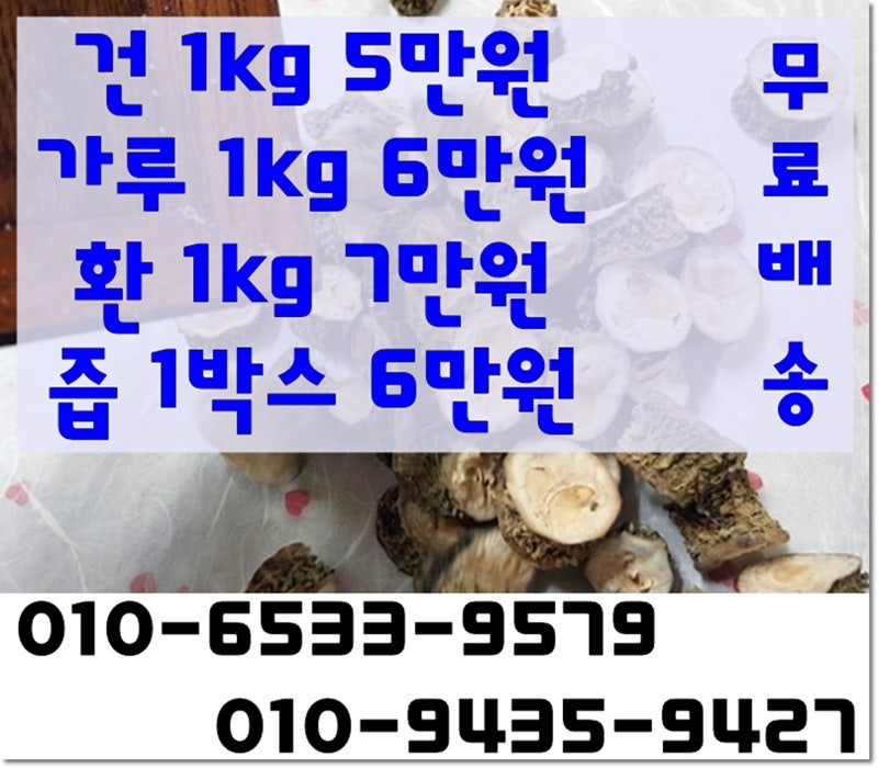 여주분말 효능과 여주먹는법 추천 9