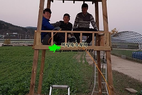 정자 포토존 이미지