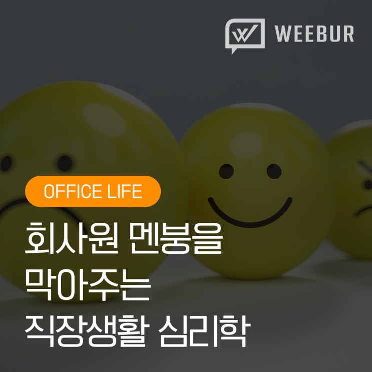  직장인 멘붕을 막아주는 회사생활 심리학