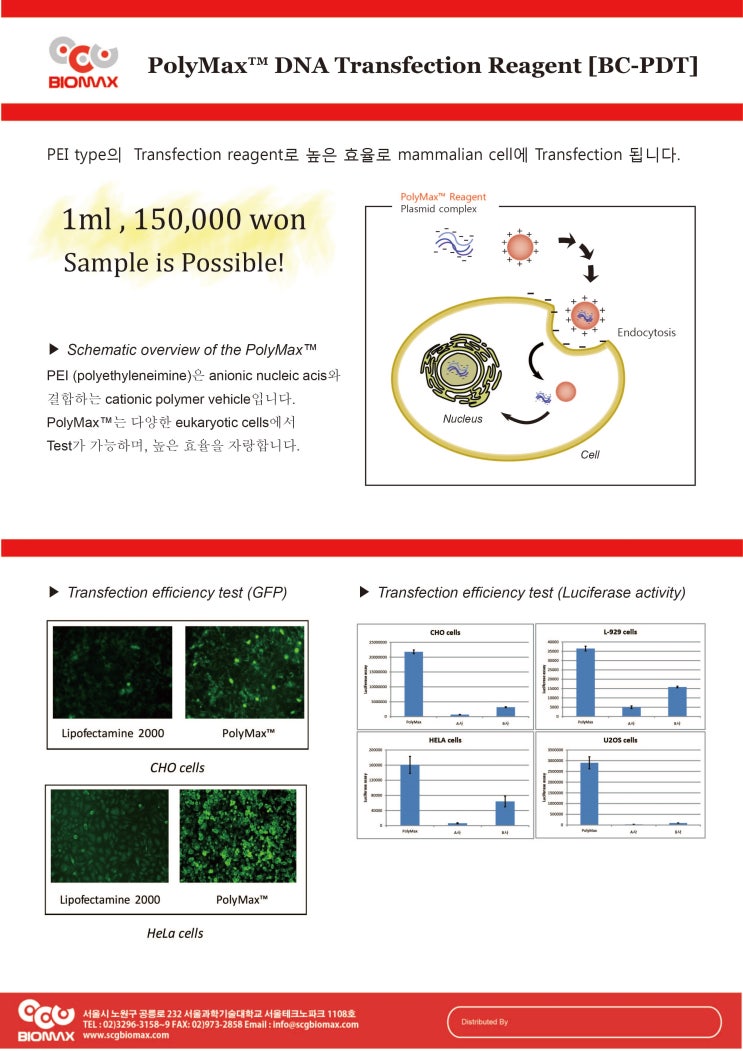  PolyMax PEI type의 transfection reagent!