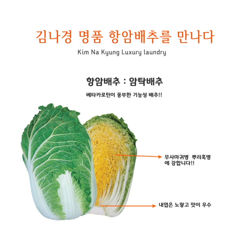 베타배추 항암배추샐러드 드레싱은 아로니아효소로