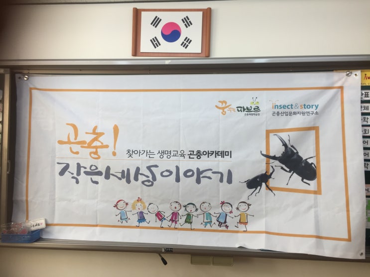  김포시 언론에 알려진 초등교육 "찾아가는 곤충교실"