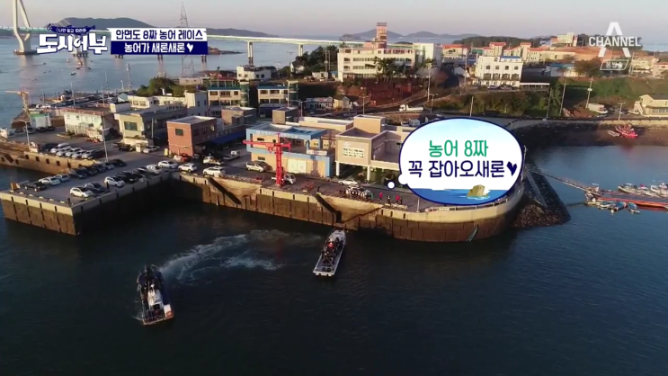  목요일예능추천 나만 믿고 따라와. '도시어부' 64화 리뷰
