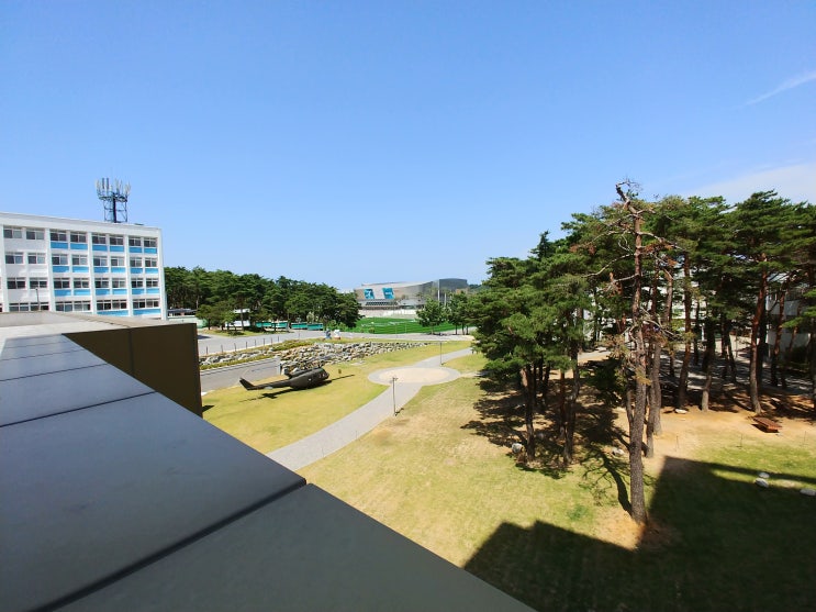  가톨릭관동대학교 후배들에게 한마디