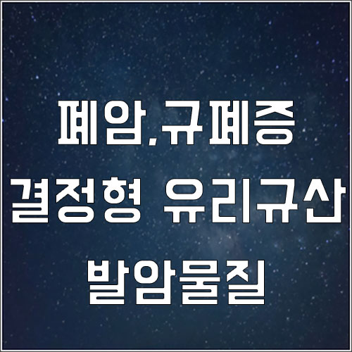  폐암 산재 결정형 유리규산 발암물질 노출업종