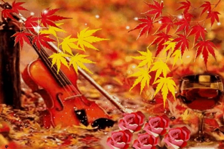 아름다운 단풍과 낙엽
