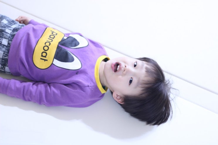  미세먼지 걱정없는 크림하우스 던에드워드 프리 먼지로부터 자유로워지자