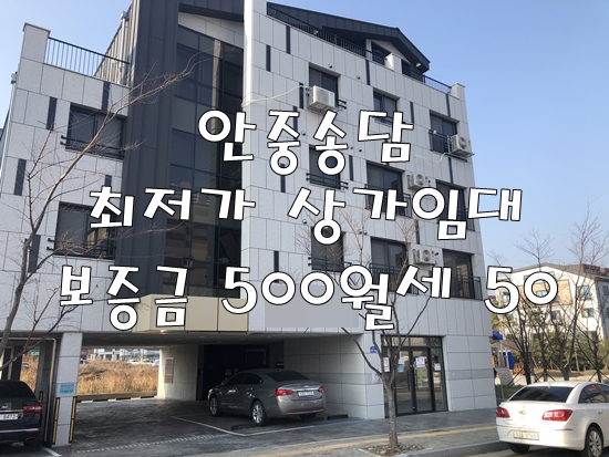  안중송담상가 사무실자리 배달음식 작은상가 애견샵 보증금500 월세 50만원 최저가 상가