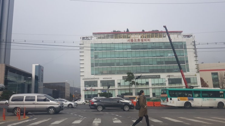  자차운전연수는 바른에서 바르게 배우기