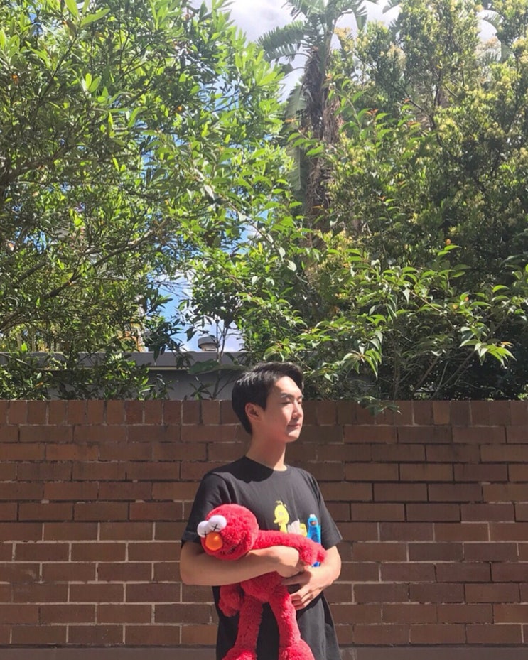  [솔직후기]유니클로 ‘KAWS x SESAME STREET’ UT 티셔츠와 Plush Toys 엘모 인형 후기 - 카우스 x 세서미 스트리트