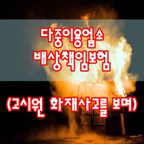  다중이용업소 배상책임보험 - 고시원화재사고를 바라보며.