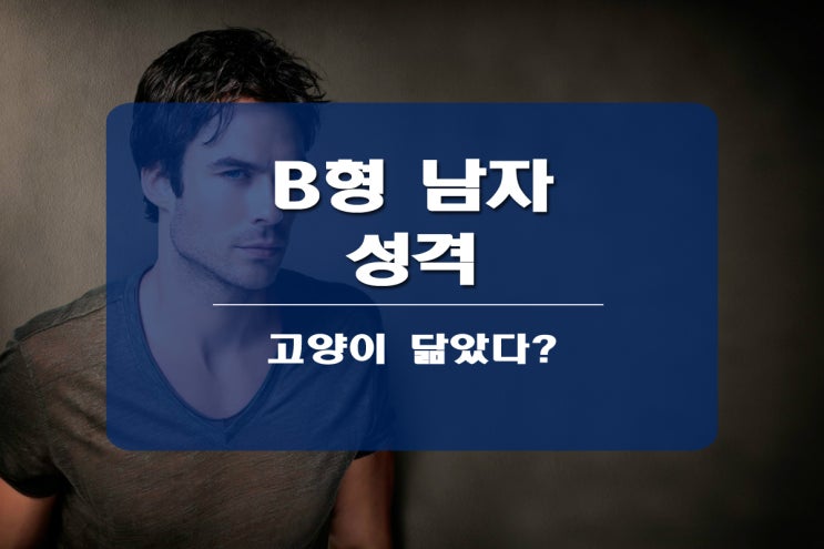  B형 남자 성격은 고양이?