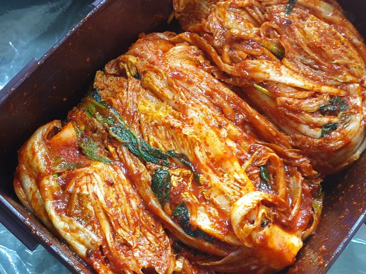  절인 배추 사다가 김장 담궜는데 엄청 맛있다요.